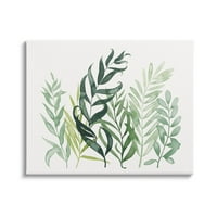 A Stupell Industries rétegelt növényi levelek botanikai grafikus galéria csomagolt vászon nyomtatott fali művészet,