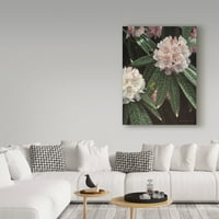 Ron Parker, a Rhododendron 'vászon művészete védjegye