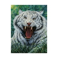 Jeff Tift, a White Tiger Roar 'vászon művészete védjegye