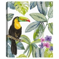 Toucan Sandra Jacobs vászon művészeti nyomtatása