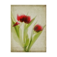 Védjegy Szépművészeti „Parchment Flowers i” vászon művészete, Judy Stalus